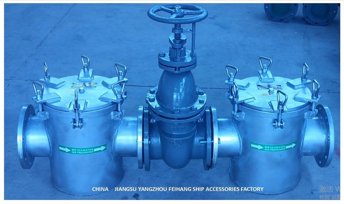 Il tipo diritto filtro di throu dall'acqua di mare per la Caldo-immersione ausiliaria del acciaio al carbonio del modello AS150 CB/T497-2012 della pompa dell'acqua di mare ha galvanizzato