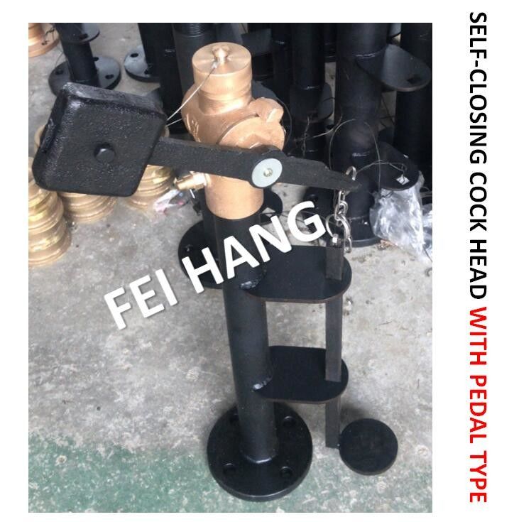 Valvola di chiusura automatica a sondaggio a piedi con verga di estensione FH-DN40 Cb/T3778-99
