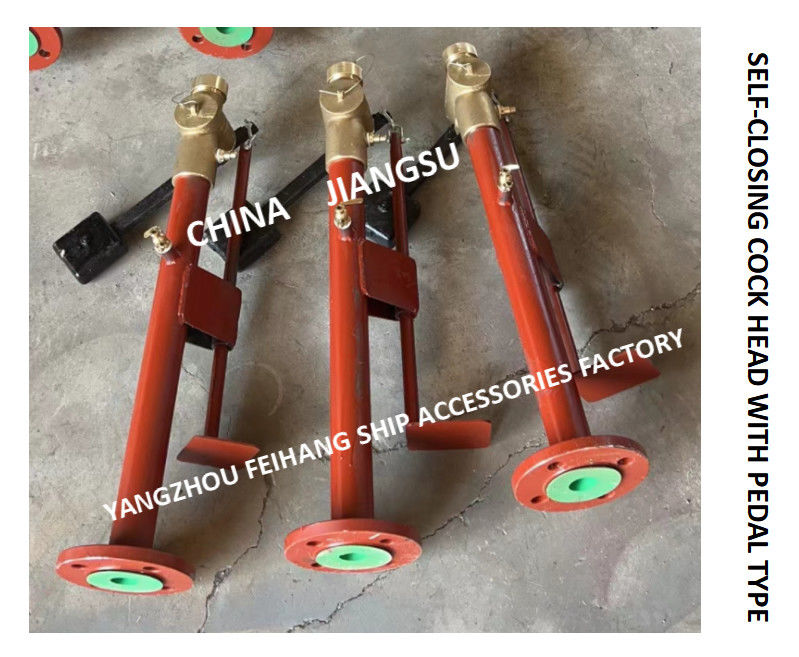 Valvola di chiusura automatica a sondaggio a piedi con verga di estensione FH-DN40 Cb/T3778-99