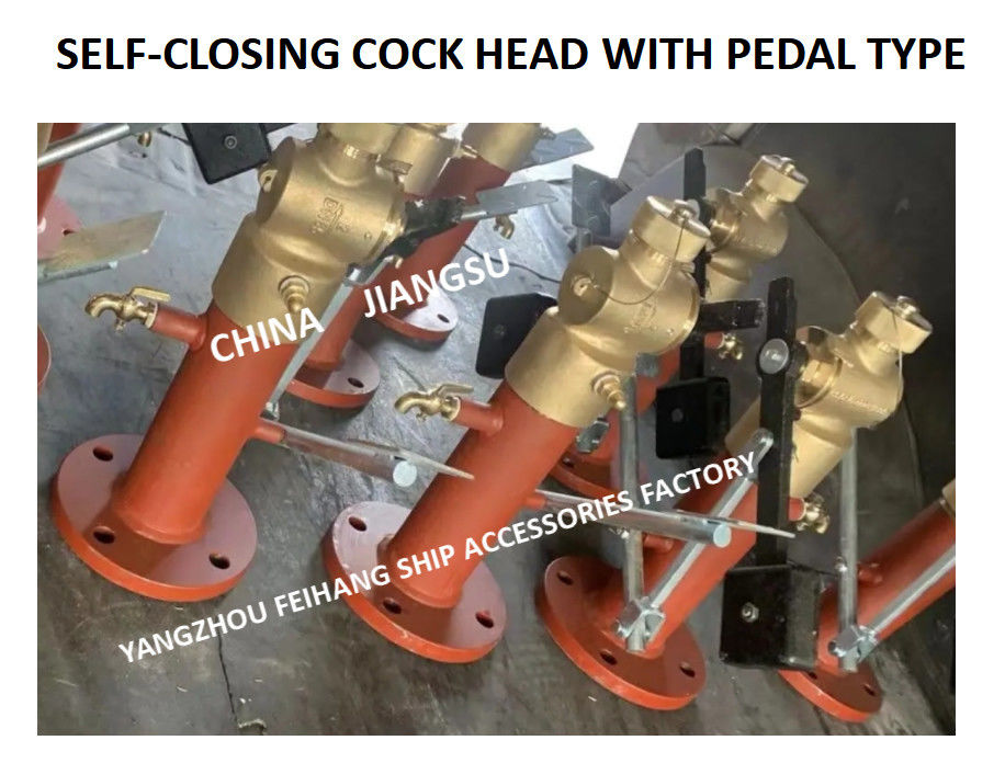 Valvola di chiusura automatica a sondaggio a piedi con verga di estensione FH-DN40 Cb/T3778-99