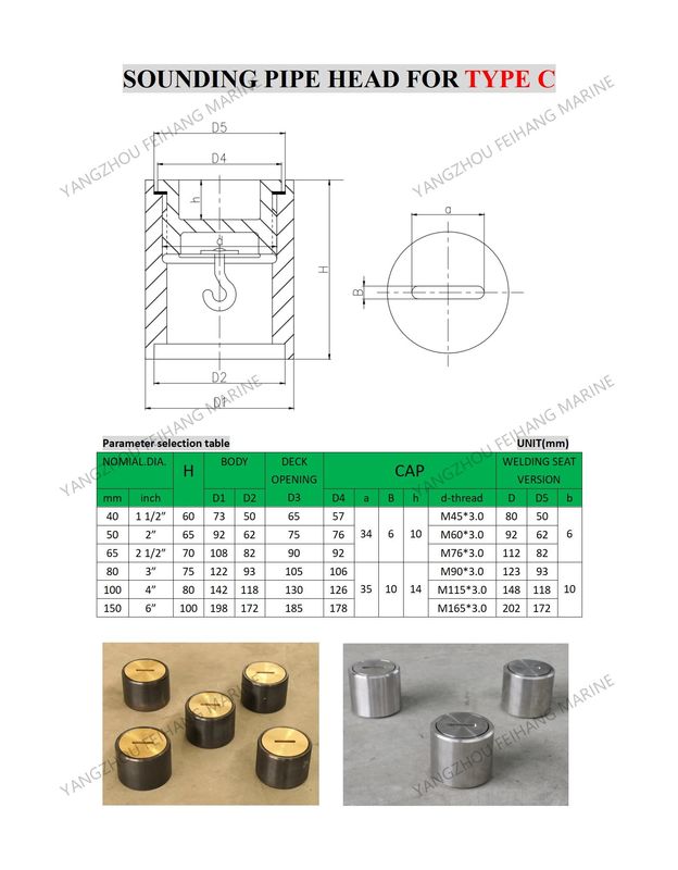 Testa di sondaggio del serbatoio dell'acqua marina - Testa di sondaggio del ponte del serbatoio dell'acqua - Testa di iniezione del serbatoio dell'acqua C65 Cb/T3778-99