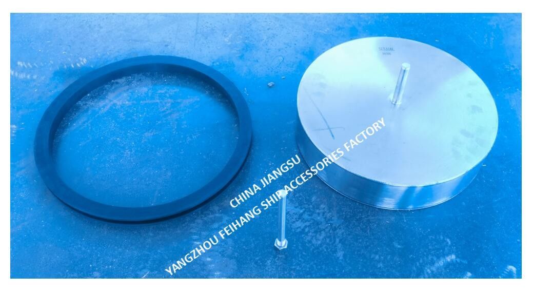 FLOATER E GASKET DI RUBBARA PER VENTAZIONE NO.533HFB-300 MATERIALE acciaio inossidabile, MAKER FEIHANG