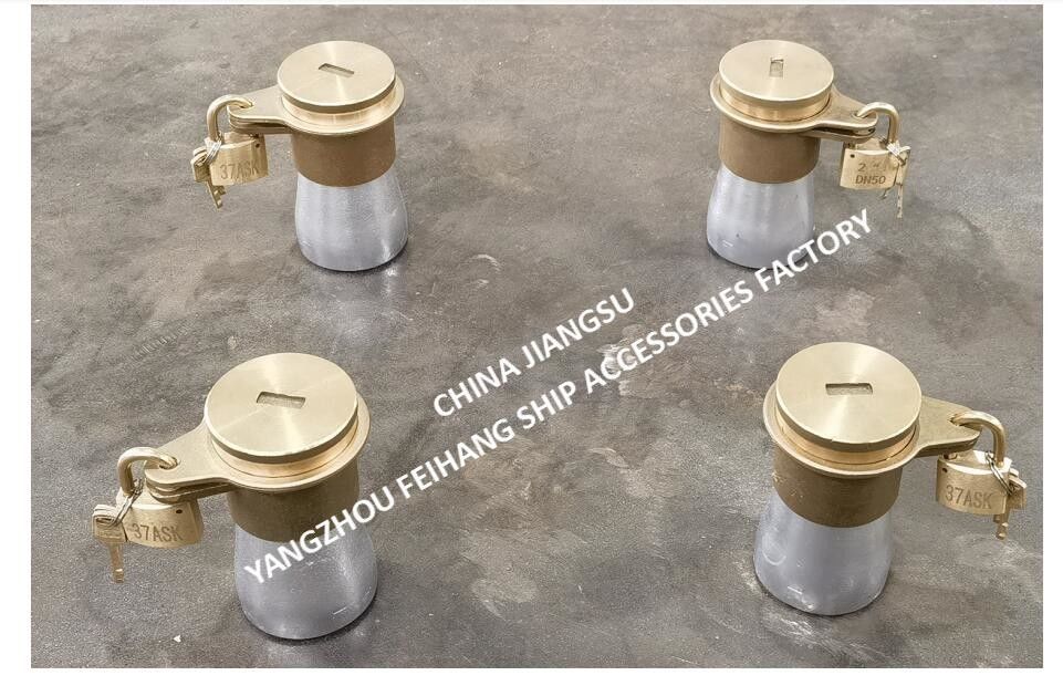 NC n. 37 ASK TEMPO DI TUBE DI SOUNDING CON MOLDELLI DI DISPOSIZIONE DI BLOCCAZIONE TUBE D'AIRE E FITTINGI DI TUBE DI SOUNDING MATERIALE - RACCO