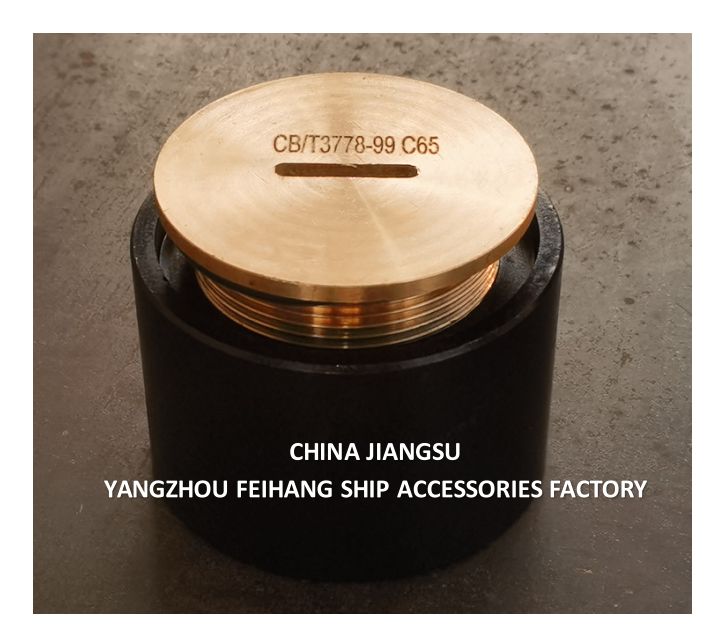 Testa del tubo di sonorizzazione Testa del tubo di sonorizzazione con tappo di copertura Tipo / O.d. 73 mm ID 43 mm Testa H 60 mm Threadm45*3.0