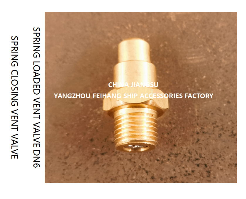 DN6 Brass Spring Loaded Vent Valve with CB/T3778-1999 Standard and Self Closing Function
