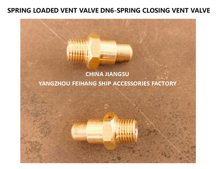 DN6 Spring Closing Vent Valve with Thread M13 and CB/T3778-1999 Standard for Marine Applications
