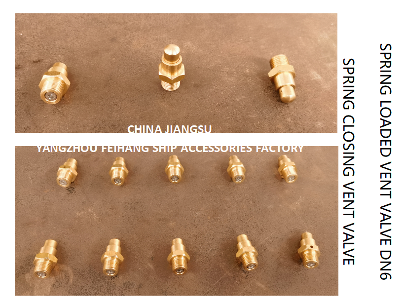 DN6 Spring Loaded Vent Valve with Threaded End Compliant with CB/T3778-1999 Standard