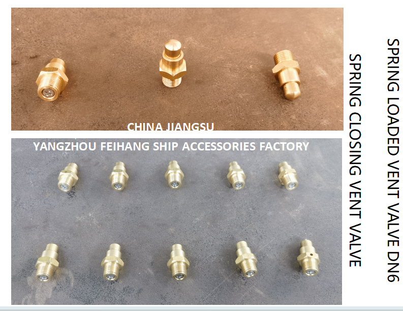 DN6 Spring Loaded Vent Valve with Threaded End Compliant with CB/T3778-1999 Standard