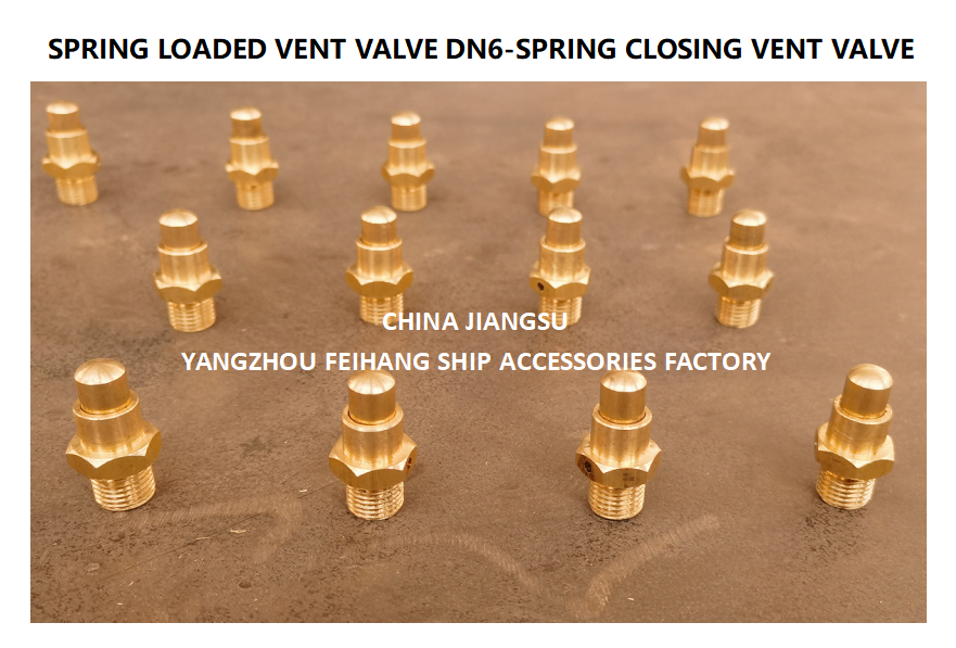 DN6 Brass Spring Loaded Vent Valve with CB/T3778-1999 Standard and Self Closing Function