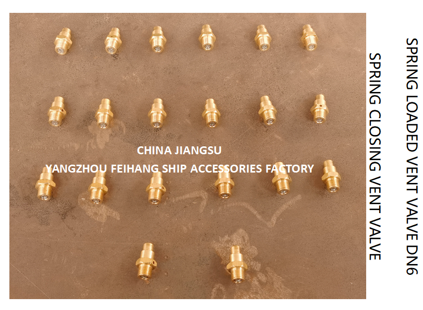 DN6 Spring Loaded Vent Valve with Threaded End Compliant with CB/T3778-1999 Standard