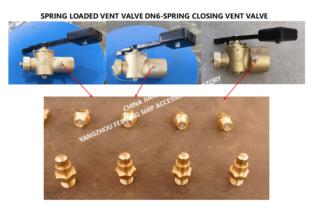 DN6 Size Spring Loaded Vent Valve with Threaded Connection Compliant to CB/T3778-1999 Standard