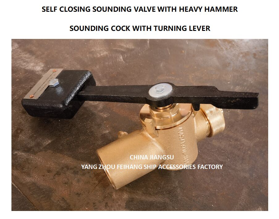 VALVELLA D'AUTOSCLUSIONE DI SOUNDING FH-40A CB/T3778-99 PN2.5 Materiale - Rame con fine del filo interno BSP e canna rotante a 360°