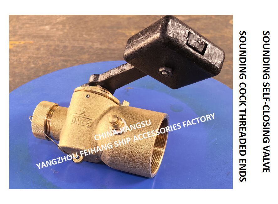 DN65 CB/T3778-99 SONDING COCK FINDINGS & SOUNDING SELF-CLOSING VALVE per tubo di sonorizzazione