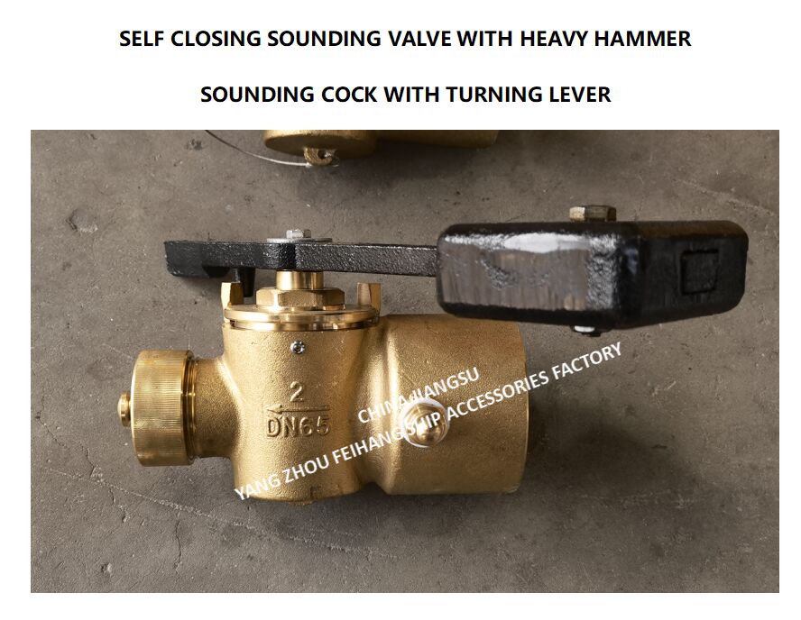 DN65 CB/T3778-99 Valvola di sonorizzazione a chiusura automatica e cocco di sonorizzazione con fine a filo e cocco di sonorizzazione con leva di rotazione